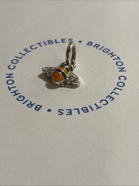 🐝 Brighton Vintage Charm!